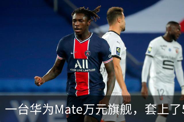 一台华为Mate万元旗舰，套上了59元积木壳
