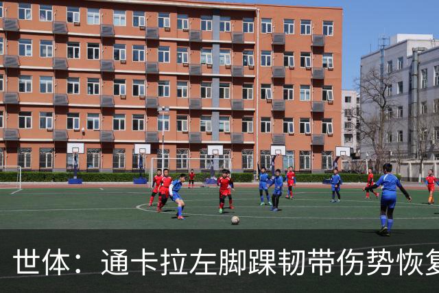 世体：通卡拉左脚踝韧带伤势恢复进展顺利，有望10月10日伤愈复出