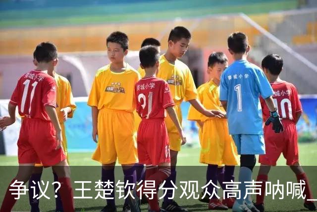 争议？王楚钦得分观众高声呐喊 林诗栋得分全场鸦雀无声 夺冠不庆祝