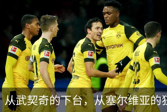 从武契奇的下台，从塞尔维亚的狂欢，来分析中国网友的眼界和素养