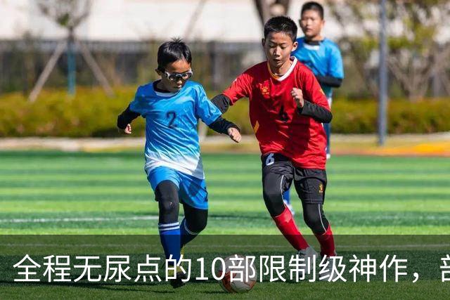 全程无尿点的10部限制级神作，部部大尺度，看完直接刷新认知