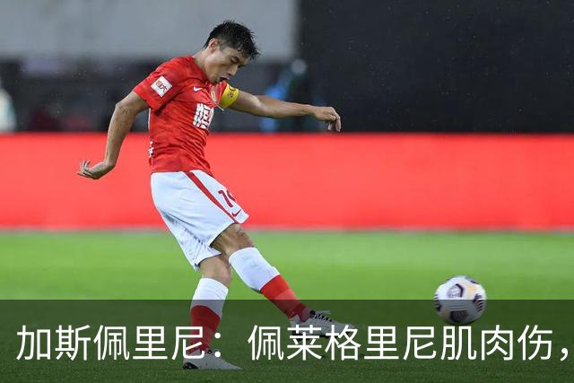 加斯佩里尼：佩莱格里尼肌肉伤，恢复需20天