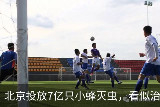 北京投放7亿只小蜂灭虫，看似治毛毛虫，实则是场无声的生物战争