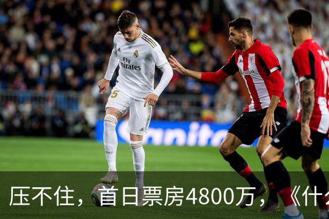 压不住，首日票房4800万，《什么意思夫妇》走高，小沈阳赌对了！