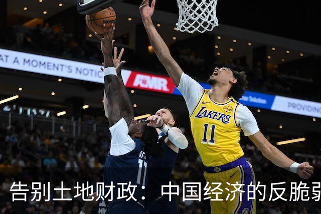 告别土地财政：中国经济的反脆弱之路