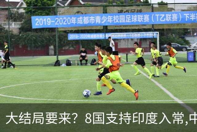 大结局要来？8国支持印度入常,中方没有阻拦，苏杰生拿到承诺书?