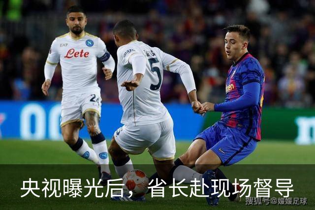 央视曝光后，省长赴现场督导