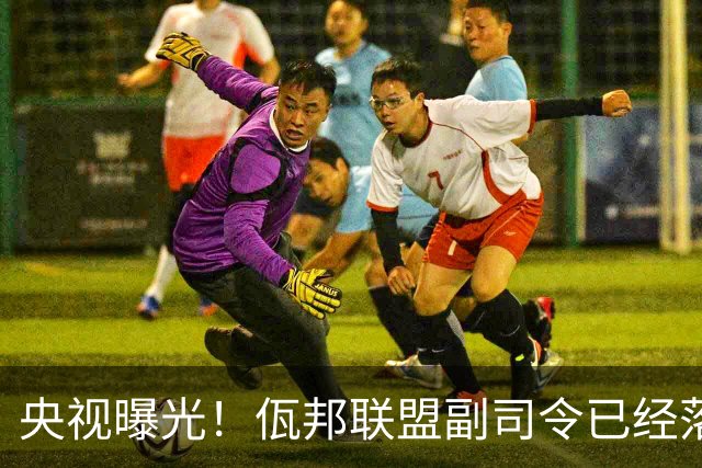 央视曝光！佤邦联盟副司令已经落网，白应兰还能逃亡多久