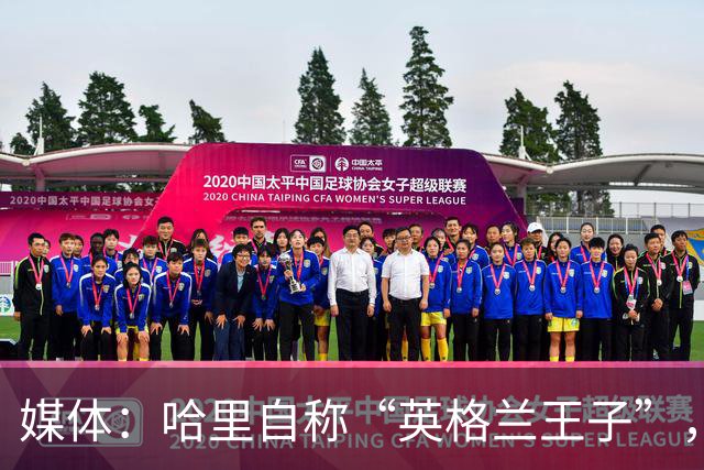 媒体：哈里自称“英格兰王子”，绝不是口误，是对哥哥蓄意挖苦