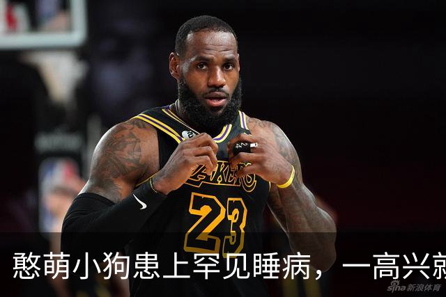憨萌小狗患上罕见睡病，一高兴就秒睡？？吃到喜欢的零食，下秒直接关机...