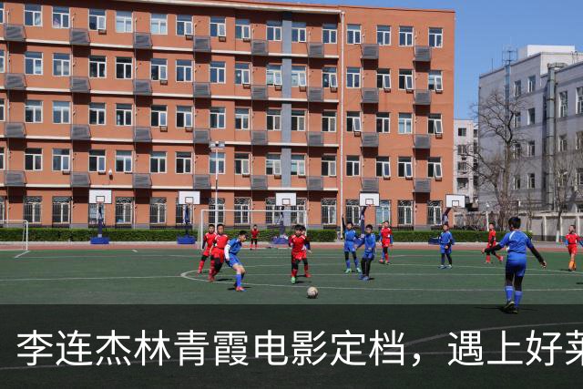 李连杰林青霞电影定档，遇上好莱坞巨星，票房将惨败