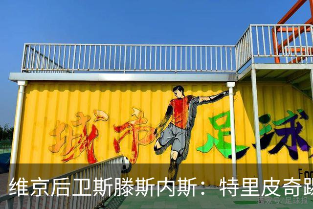 维京后卫斯滕斯内斯：特里皮奇踢得很聪明；很荣幸与凯恩交手
