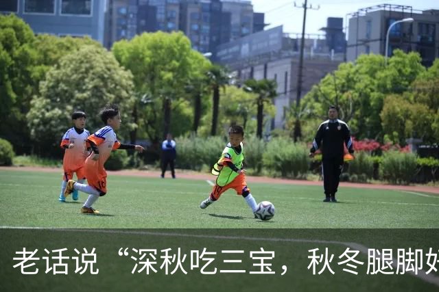 老话说“深秋吃三宝，秋冬腿脚好”，“3宝”指的是啥？别不懂吃