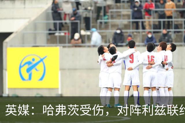 英媒：哈弗茨受伤，对阵利兹联约克雷斯有望迎来首发
