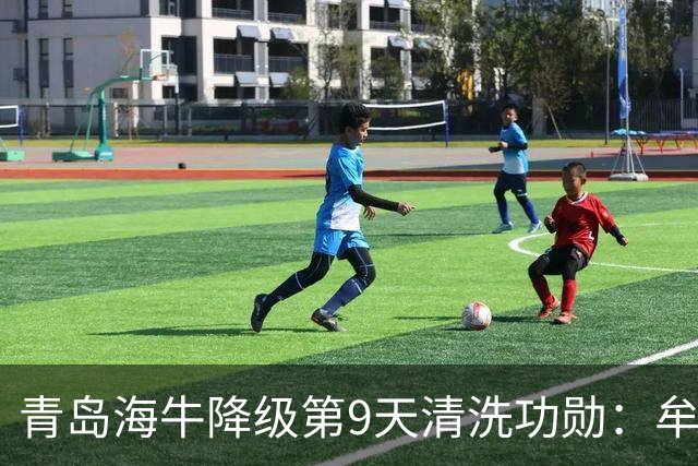 青岛海牛降级第9天清洗功勋：牟鹏飞与刘军帅遭年龄清洗
