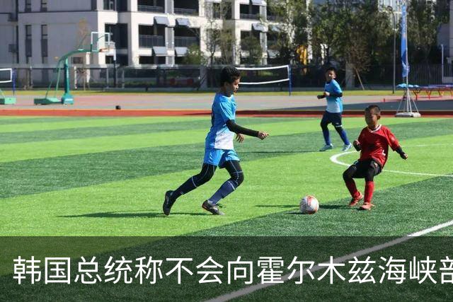 韩国总统称不会向霍尔木兹海峡部署军事力量
