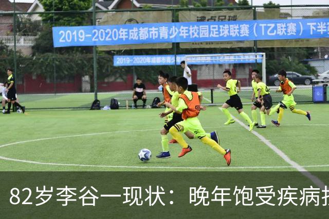 82岁李谷一现状：晚年饱受疾病折磨，与姐姐同在北京却很少见面